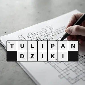 Hasło krzyżówkowe tulipa sylvestris gatunek tulipana z rodziny liliowatych - tulipan dziki – rozwiązanie, synonimy, podpowiedzi i definicje krzyżówkowe